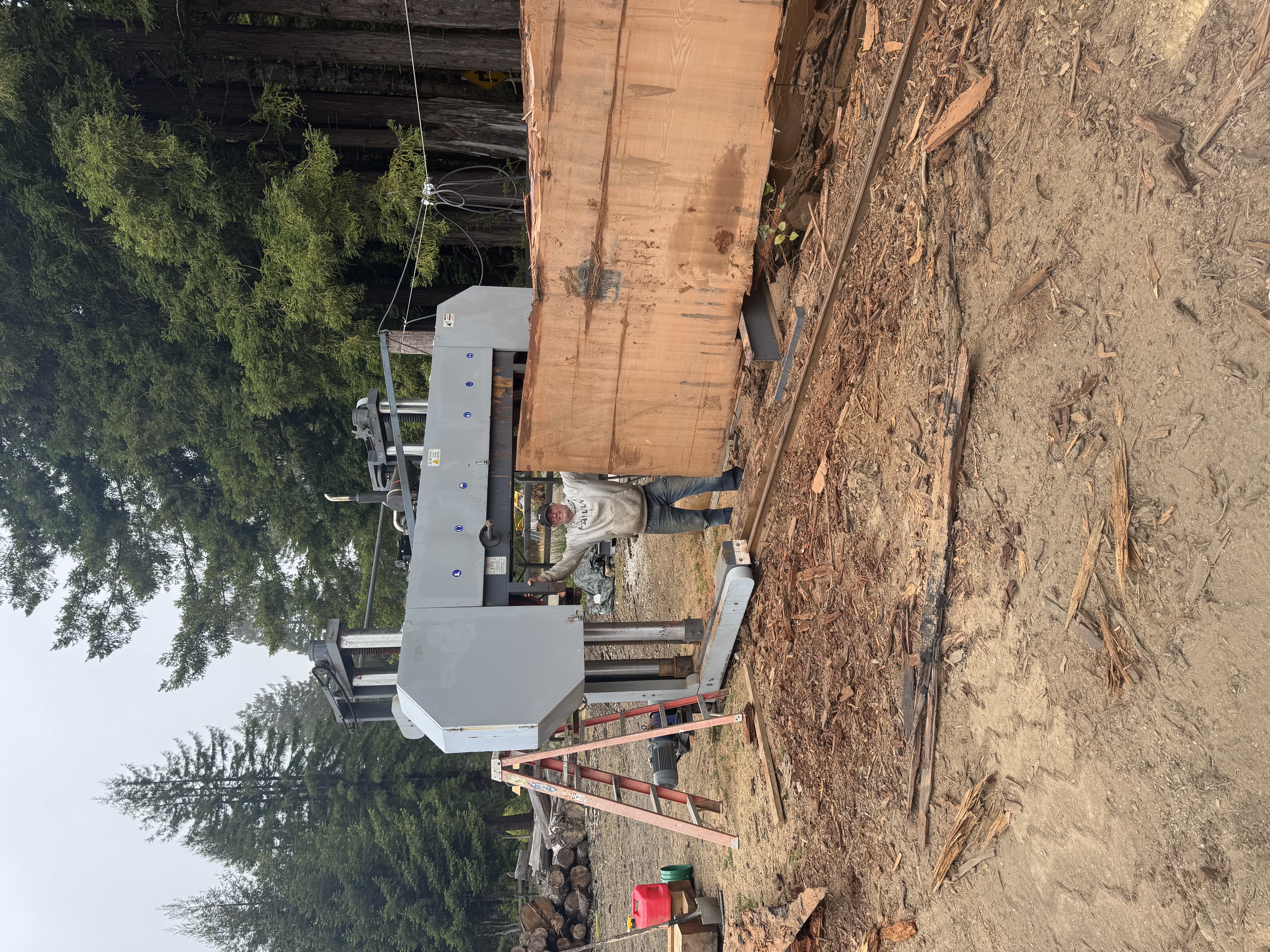 The Albion Lumber planer mill in operation, Mendocino Coast